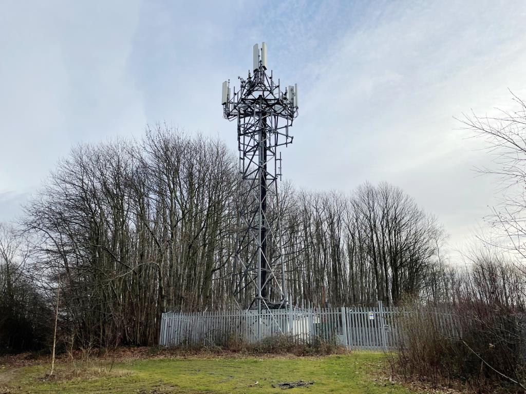Lot: 175 - OVER THREE AND A HALF ACRES OF WOODLAND WITH MAST INVESTMENT - Telephone mast